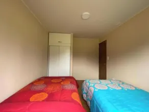 Country cabin with WIFI, total disconnection 7 minutes from Villarrica - Image 5