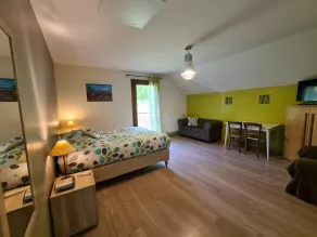 4-stjernet gîte, 10 personer, med SPA, 2 minutter fra søen. Udsigt til søen. - Image 5