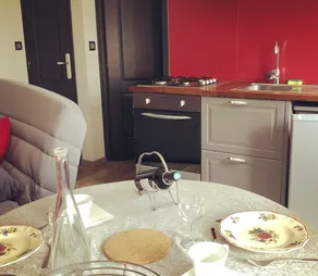 In the heart of the Sologne, single-storey apartment with patio - Image 4