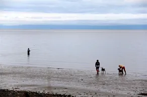 Walk-on Sandy Beach with Outstanding Ocean View,  Qualicum Bay - Image 5