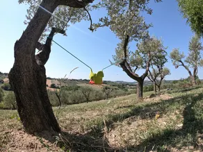 Vacation home Raggio di Sole in Tavullia - Image 2