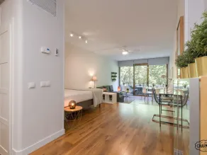 Paseo del Prado I - Studio with Terrace - Image 4