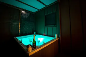 BIG BERRY KOLPA Metlika - Luxury Natura House - Image 2