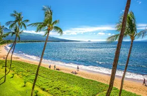 En Hawaiian Classic: \"Live Aloha Suite\" - Image 3