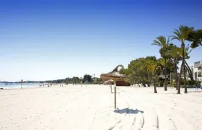 2: GROUND FLOOR- APARTMENT ON THE SEA - Image 4