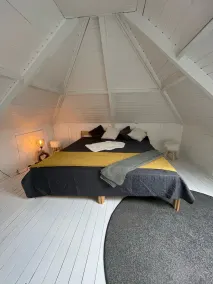 Vacation home in Holland 250 m to the sea, sauna whirlpool dog garden - Image 5
