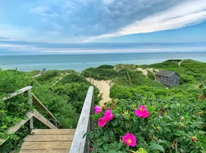 Charming Pet Friendly Cottage - Image 4