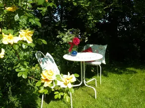 Garden idyll at the Wadden Sea National Park - Image 5