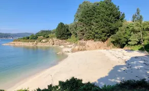 The Cliffs - Sunset Village Beach 1A - Image 5