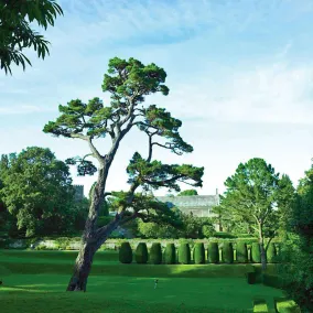 Dartington Hall - Image 2