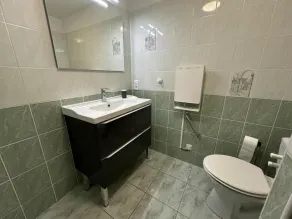 Chalet Simone - ST-VINCENT-DE-TYROSSE - Image 3