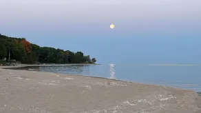 Cottage On Tunnel Of Trees - Beach Access, Lake Views, Surrounded by Woods - Image 3