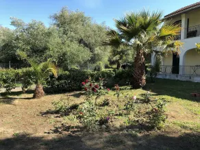 La Casa De Dalia - Image 4