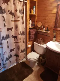 Northwoods Lake Cabin - Image 2
