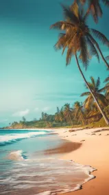 Ocean Pearl at Turtle Bay - Image 5