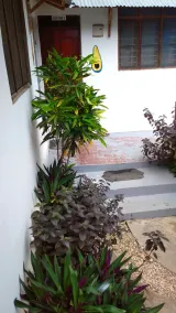 Fish Hostel - Image 2