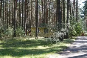 Bungalow C 1 - Silz vacation village in the pine forest with private beach access - Image 4