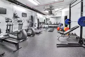 Free Gym, Doorman, Terrace, Amazing Views, Elevator! - Image 2