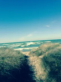 Saugatuck/Douglas Cozy Cottage Walking Distance To Town, 1 Mile To Lake Michigan - Image 3