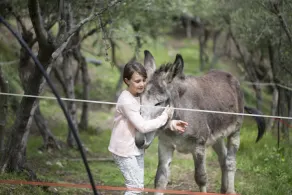 Appartamento bilocale in agriturismo immerso nel verde e a pochi km dal mare - Image 2