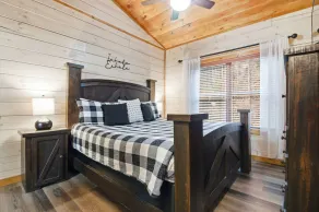 Cozy Cardinal - Image 5