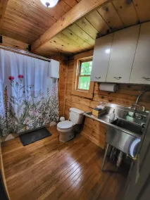 New River & Gauley River family cabin -10 minutes to state & national parks - Image 5