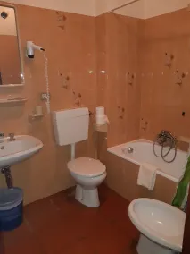 Vacation Apartment in the Dolomites - Image 3