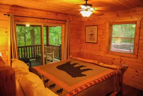 Natures retreat!  Lakeside log cabin on 7 acres! Hike, Fish, Swim, Kayak, Spa! - Image 4