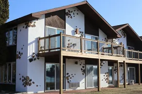 Every Room with a Beautiful View of The Wisconsin River * - Image 5