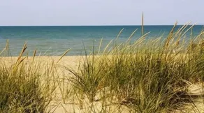 Sunset Couples Retreat! 4 Min to Beach, Cabin 3 - Image 4