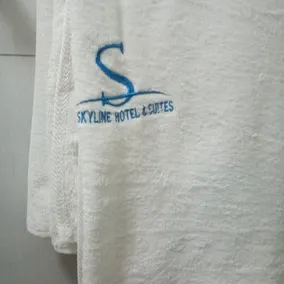 Skyline Hotel & Suites - Image 4