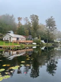 ✨ Lakeside Reflections - Image 2