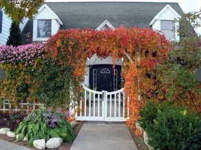 THE ESSENCE of DOOR COUNTY, spacious & beautiful, and surrounded by gardens. - Image 5