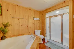 Peaceful staycation River Lodge and 2 cabins - Image 5