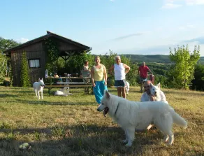 Comfortable holiday home in the vineyards, in an absolutely quiet location - Image 4