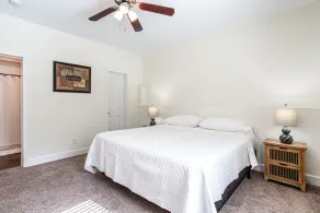 Luxury Fairburn Suite with Wooded View - Image 4