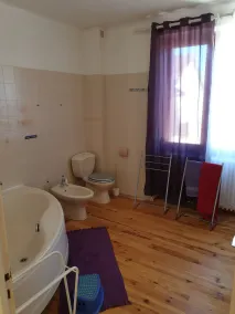 TRÉS BELLE MAISON avec terrain au cœur du Village le MALZIEU-VILLE - Image 3