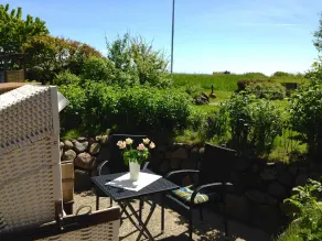 Sylter Rose - Südterrasse mit Strandkorb - Image 5