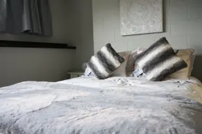 CUCCIOLO AMICHEVOLE!  Bed and Breakfast con licenza. - Image 4