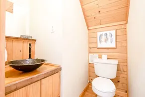 Meadow Cabin on Sylamore Creek - Image 4