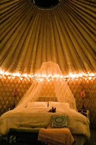 Yurt logi @ Yorkie Acres Farm - Image 3