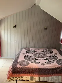 Pleasant house with garden and beautiful view, in the heart of Val d'Allos - Image 2