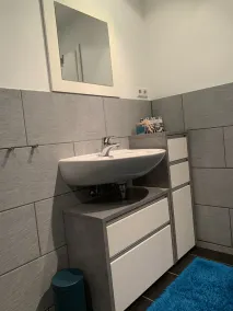 Modern apartment on the Moselle, near Cochem, between Koblenz + Trier - Image 4