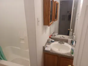 Entire Apartment Suite - Image 2