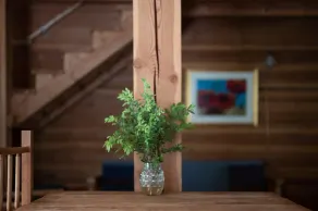 Violet Cabin at Tin Poppy: Off-Grid Glamping + Private Sauna near Salmon Arm, BC - Image 5