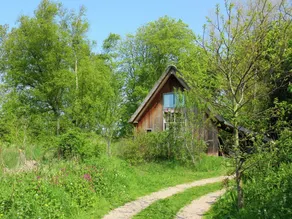 Maison à Bergen près des forêts - Image 5
