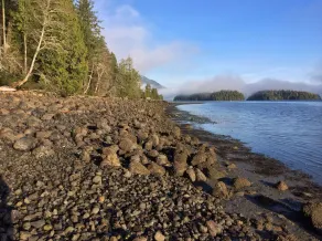 Wunderschöne Oceanfront Rancher mit herrlichem Blick, Sauna, Whirlpool und Billardtisch! - Image 5