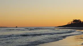 STARFISH ON STRADDIE - Image 5
