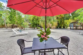 Newly remodeled Parrot Nest Toucan Cottage!  Walk to beach, shops, restaurants! - Image 5