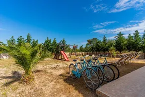With garden and close to the beach - Villa Luana Punta Prosciutto Salento - Image 3